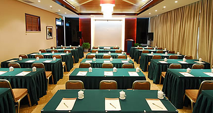 �Ƶ������