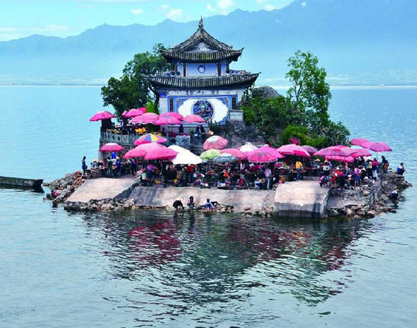 گ鵺
